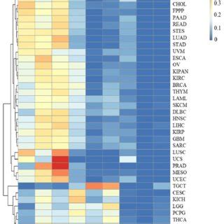 PDF Impact Of Sex Body Mass Index And Initial Pathologic Diagnosis Age On The Incidence And