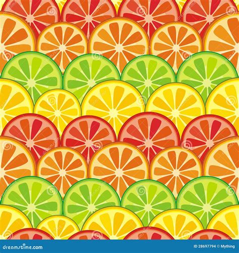 Colorful Seamless Citrus Background Stock Vector Illustration Of