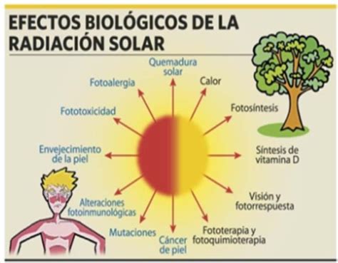 MEDICINA GENERAL FOTO PROTECCIÓN CUIDADOS DE LA PIEL FRENTE AL DAÑO