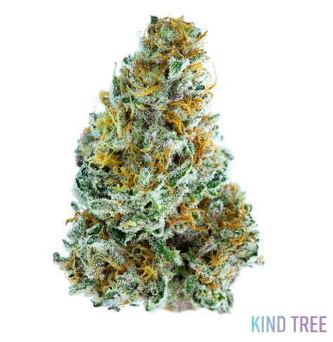 Buy Sunset Octane Whole Flower Online Curaleaf Bordentown Bordentown