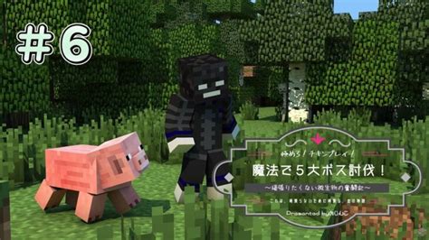 極めろ！チキンプレイ！魔法で5大ボス討伐！＃6【マイクラ】 Minecraft Summary マイクラ動画