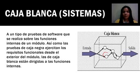 Misionero Depender De Templado Sistema De Caja Negra Significado