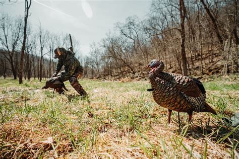 40 Foremost Public Land Turkey Hunting Rules To Follow Huntstand