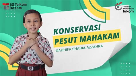 Konservasi Pesut Mahakam Nadhifa Shahia Azzahra Youtube