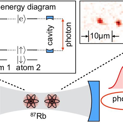 Schematic Representation Of The Setup Two 87 Rb Atoms Are Trapped At