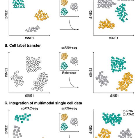 PDF Computational Methods For The Integrative Analysis Of Single Cell