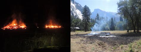 Fire investigation underway in Yosemite National Park