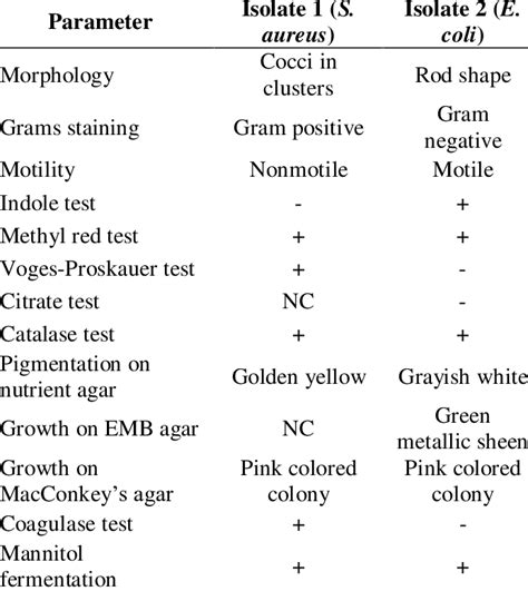 √100以上 E Coli Morphology Gram Stain 283207 Li Gram Stain Morphology And Arrangement