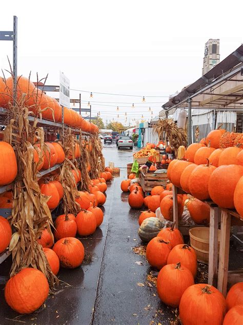 Why You Need To Visit The Montreal Markets Carmy Easy Healthy Ish