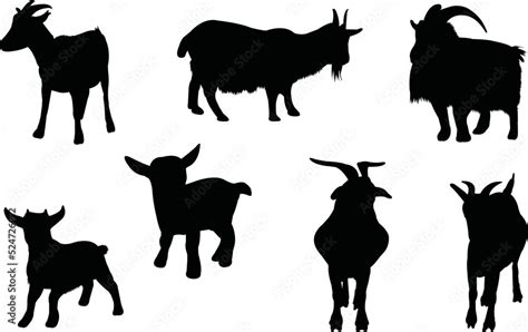 Pygmy Goat Eps Vector, Silhouette, Logo, Pygmy Goat Eps Vector Cut Files for Cricut Design ...