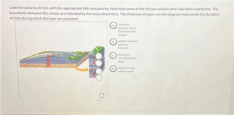 Solved Label The Polarity Chrons With The Appropriate Title Chegg