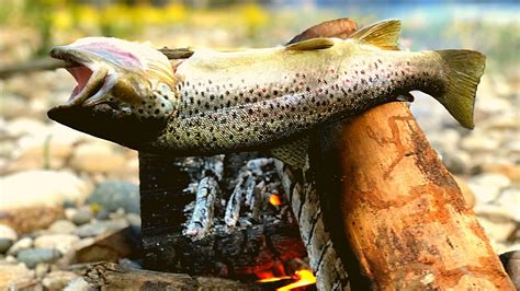 Brown Trout Catch And Cook Over An Open Fire Youtube