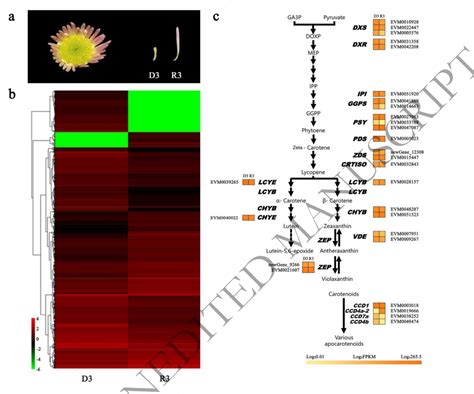 Figure 1 From The Transcription Factor Complex CmAP3 CmPI CmUIF1