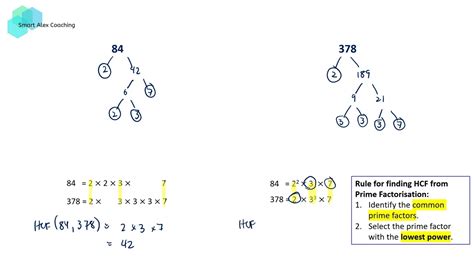 Finding Hcf From Prime Factorisation Factor Tree Youtube