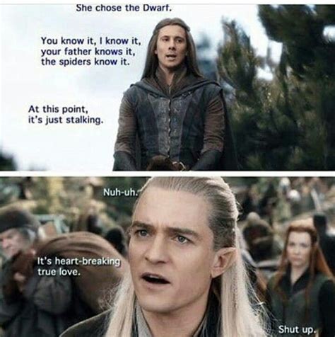 The Hobbit Memes Hobbit Funny O Hobbit Legolas And Thranduil Fili