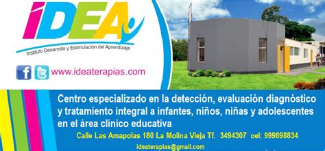 Instituto De Desarrollo Y Estimulaci N Del Aprendizaje Idea