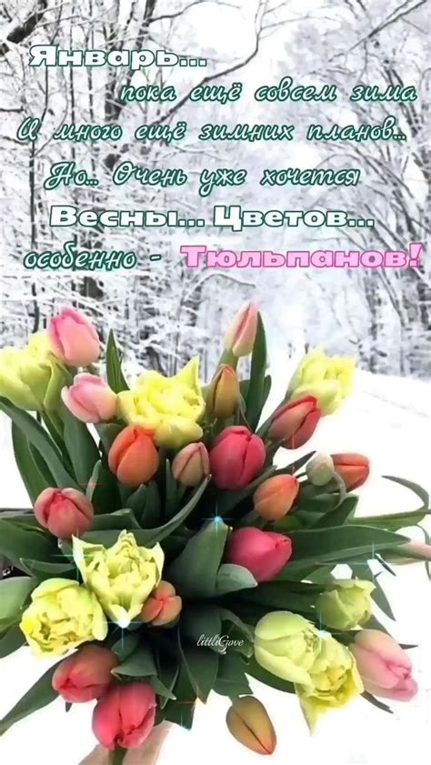 🌷🌷🌷 | Доброе утро, Красные цветочные композиции, Хризантемы