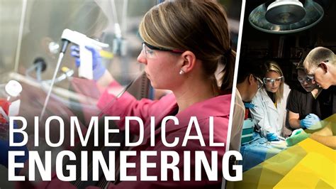 Biomedical Engineering At The University Of Michigan Youtube