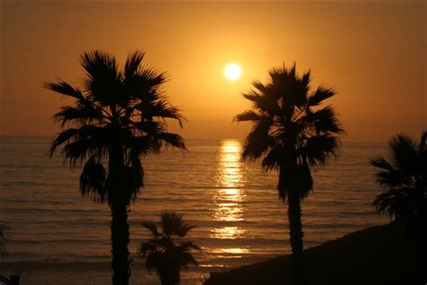 Solana Beach Surfing Association Surf Clubs Sand Replenishment, Ocean ...