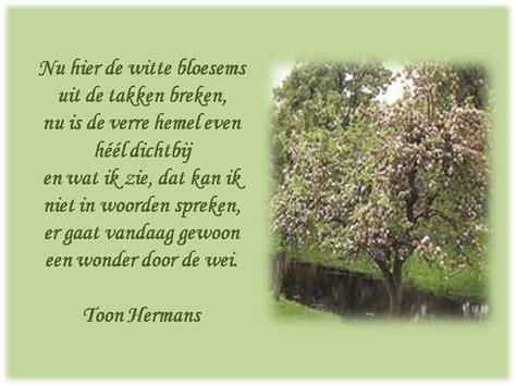 Gedicht Herinneringen Toon Hermans Rrf Agbc