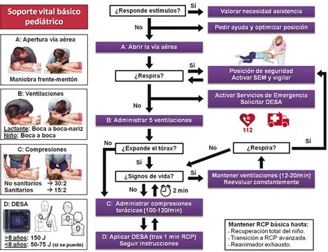 Reanimación cardiopulmonar básica en pediatría Pediatría integral