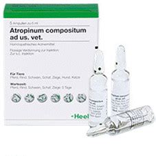 Heel Atropinum Comp Ad Us Vet Ampullen X Ml Ab