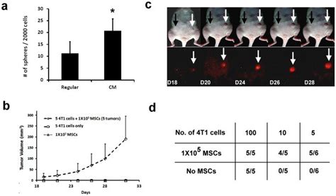 For The Mammosphere Formation Assay 4t1 Cells Were Cultured In Regular Download Scientific