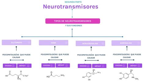 NEUROTRANSMISORES PARTE 2