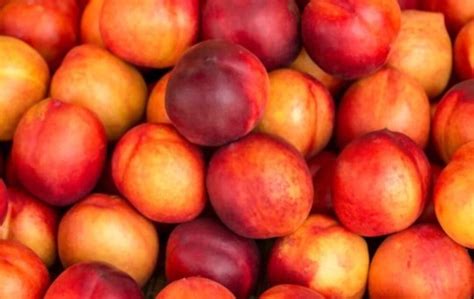 How To Tell If A Nectarine Is Ripe Easy Ripening Guide