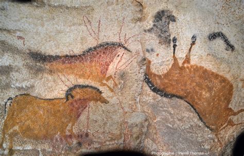 Les Ocres Et Autres Pigments Utilis S Lascaux Et Autres Lieux Pour