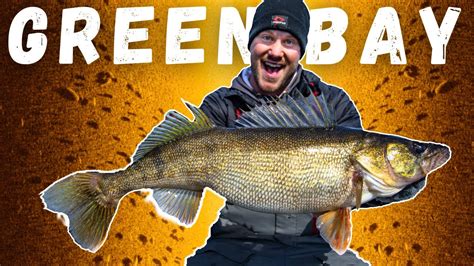 BIG Spring Walleye Fishing On Green Bay FIND CATCH Walleyes W Side