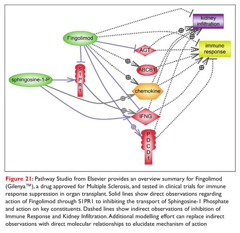 Pathway Analysis Understanding The Bridge Between Environmental Cues