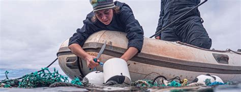 Isole Di Plastica Rimosse Tonnellate Di Rifiuti Nel Pacifico