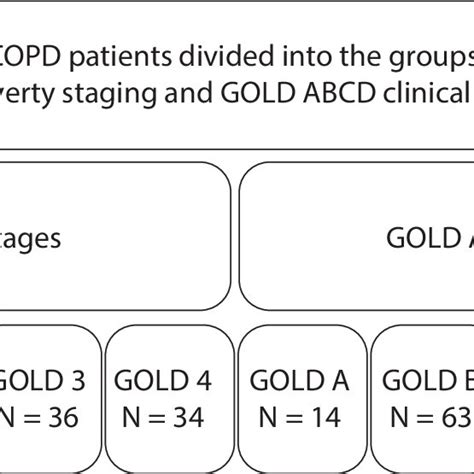 Subdivision Of 109 Copd Patients According To The Severity Of Airflow