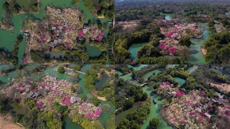 杭州西溪湿地曲水寻梅航拍3840x2160高清视频素材下载编号10446414实拍视频光厂vj师网