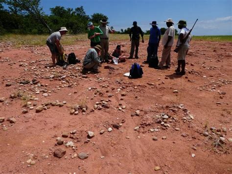 Prehistoric Puzzle Piece Scientists Discover New Species Of Dinosaur