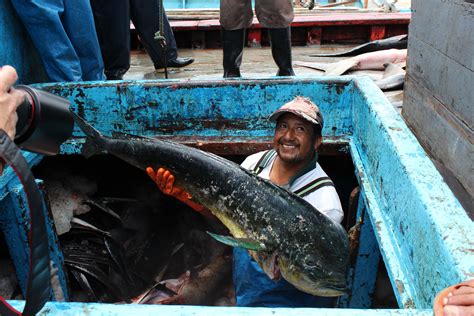 D A De Las Y Los Pescadores Ecuatorianos Guardianes De Los Mares Wwf