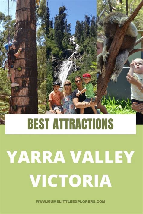 17 Things To Do In The Yarra Valley With Kids And Without Mums