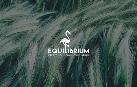 EQUILIBRIUM LOGO :: Behance