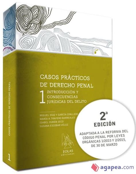 Casos Practicos De Derecho Penal Introduccion Y Consecuencias