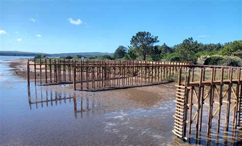 Cais Palaf Tico E Observat Rio De Aves Na Lagoa De Bidos R Dio Mais