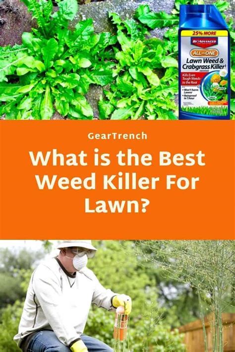 5 Best Weed Killer For Lawns In 2023 Reviewed Geartrench