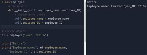 Class Variables Vs Instance Variables In Python