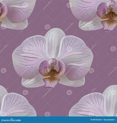 Orchid Flower Seamless Pattern Stock Vector Illustration Of Pattern