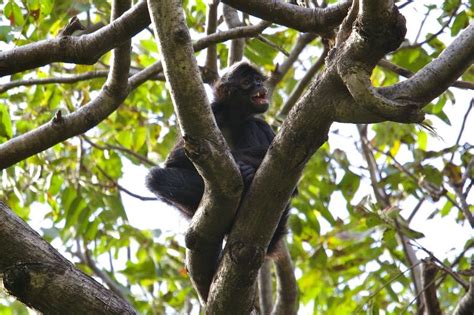 Atitlan Nature Reserve - Western Highlands, Guatemala | Anywhere