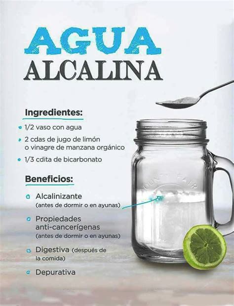 Cuaderno Lechuga Llevar A Cabo Agua Alcalina Casera Multiplicaci N