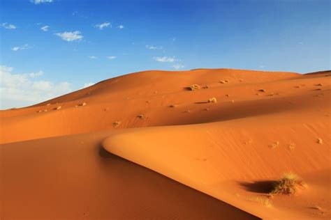 Africa Sahara Desert