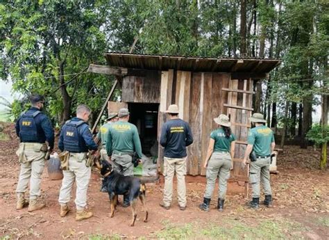 Ibama aplica R 2 milhões em multas por uso irregular de agrotóxicos em