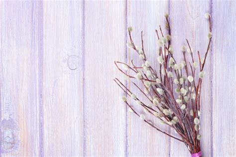 Premium Photo Pussy Willow Bunch