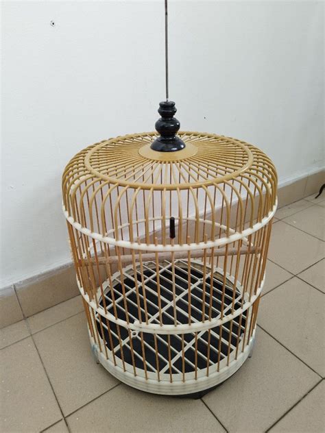 13" belaka cage/opek/bird /magpie cage, Pet Supplies, Homes & Other Pet Accessories on Carousell